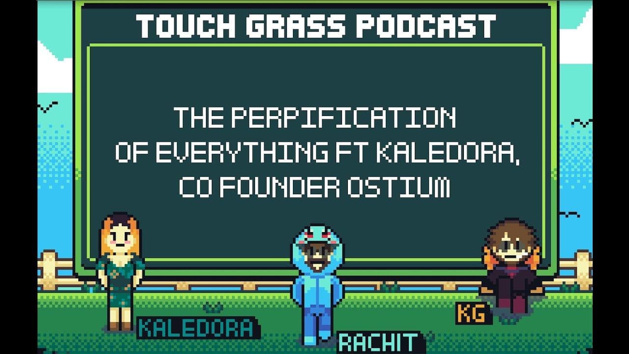 Touch Grass Podcast