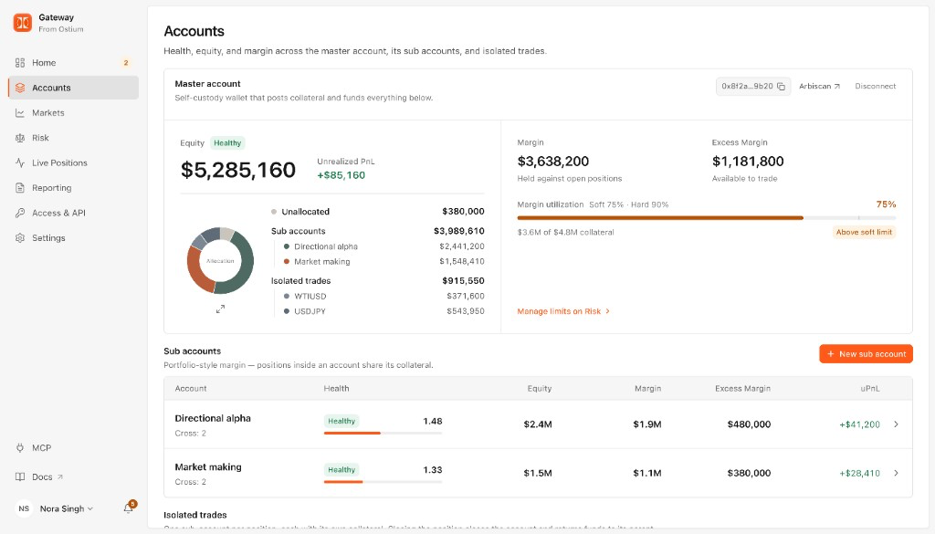 Gateway accounts: master-account equity, allocation and margin.